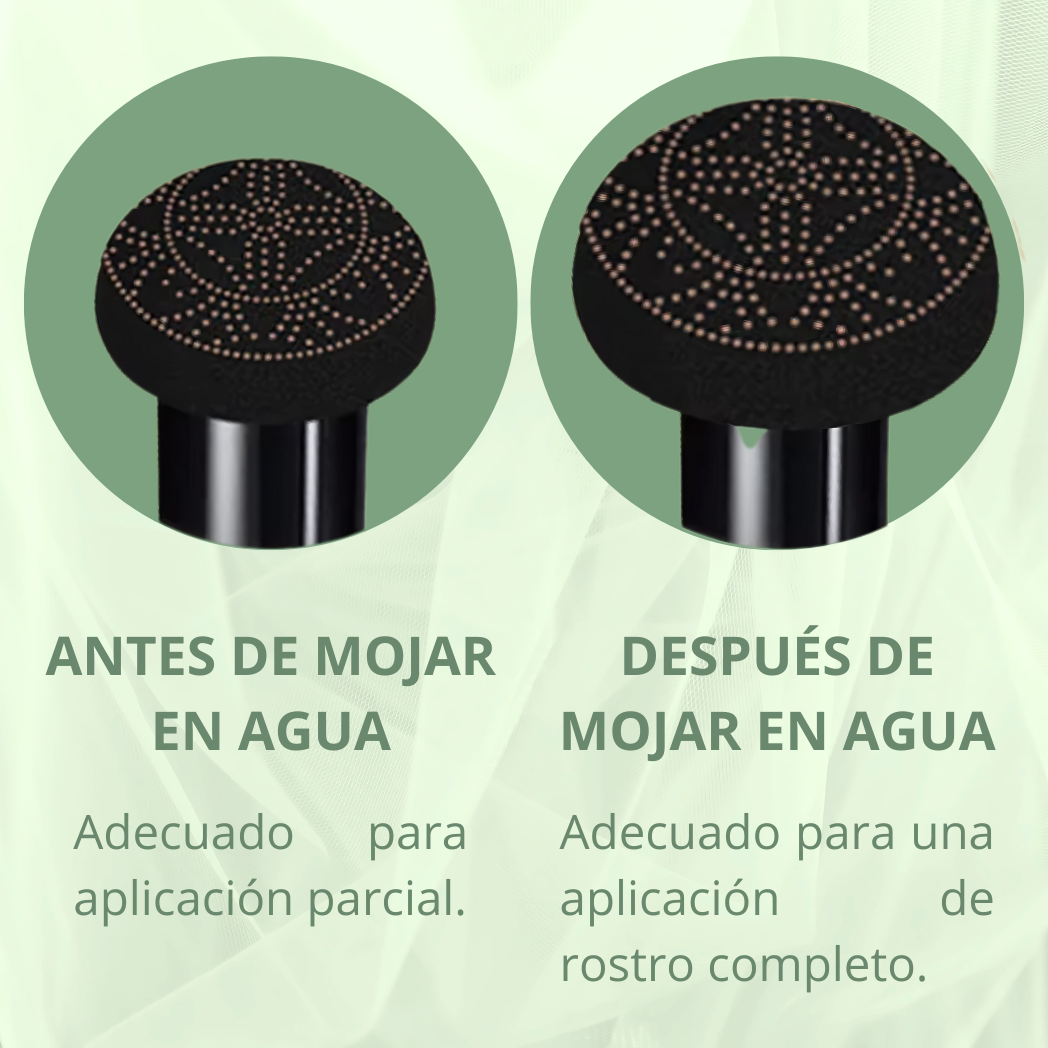 BASE MAQUILLAJE + BROCHA DE REGALO