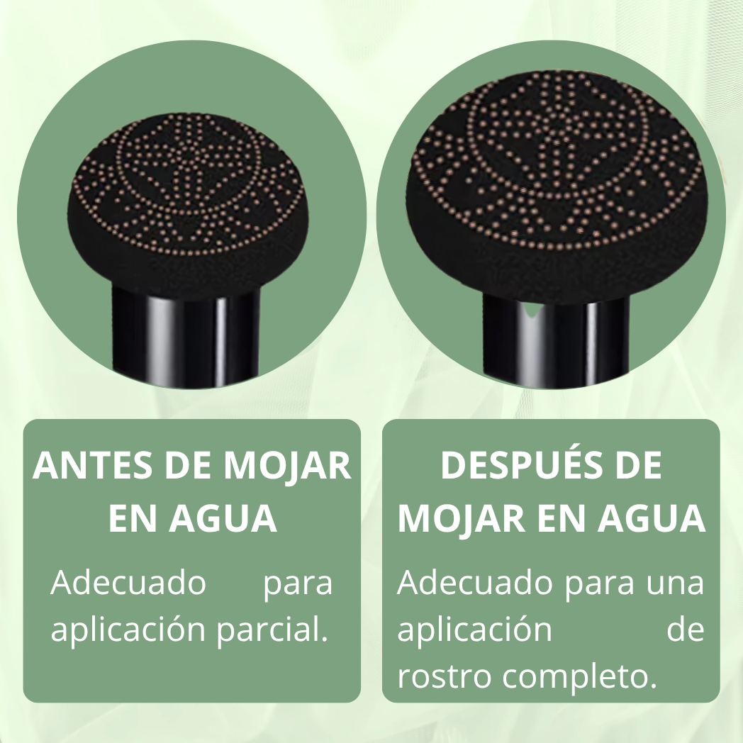 BASE DE MAQUILLAJE CON AGUACATE